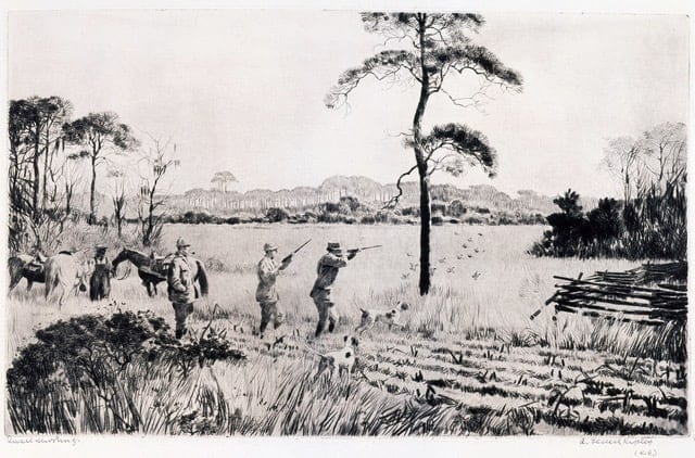 Image credit: Aiden Lassell Ripley, Quail Shooting, undted. Drypoint etching on paper. Morris Museum of Art, Augusta, Georgia. Gift of the Robert Powell Coggins Art Trust.